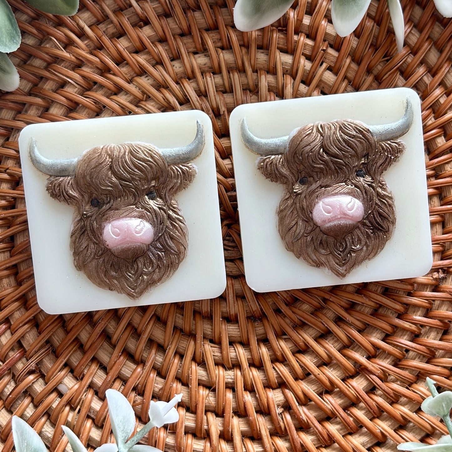Highland Cow