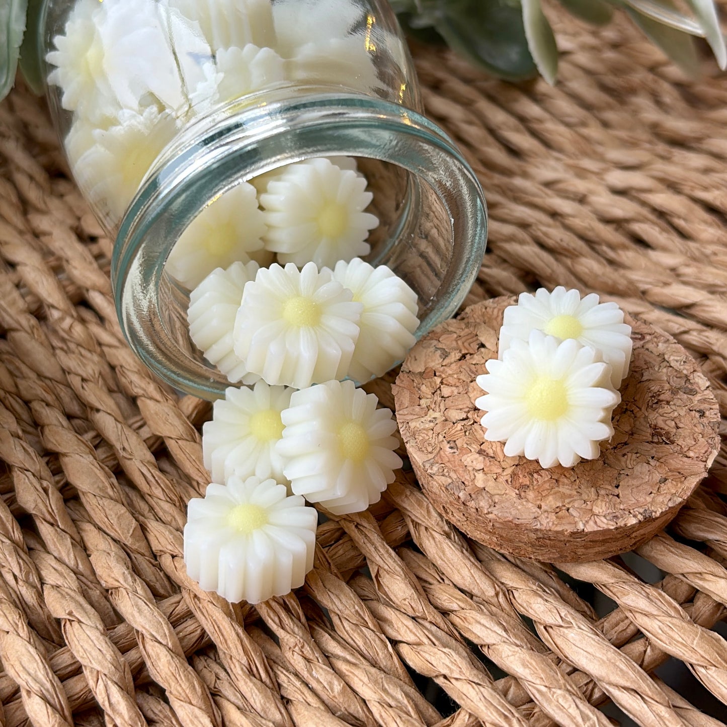 Daisy Jar Wax Melts