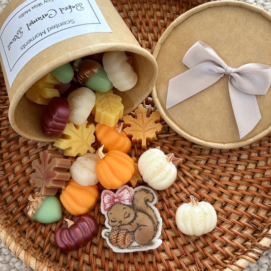 Autumn Themed Wax Melts