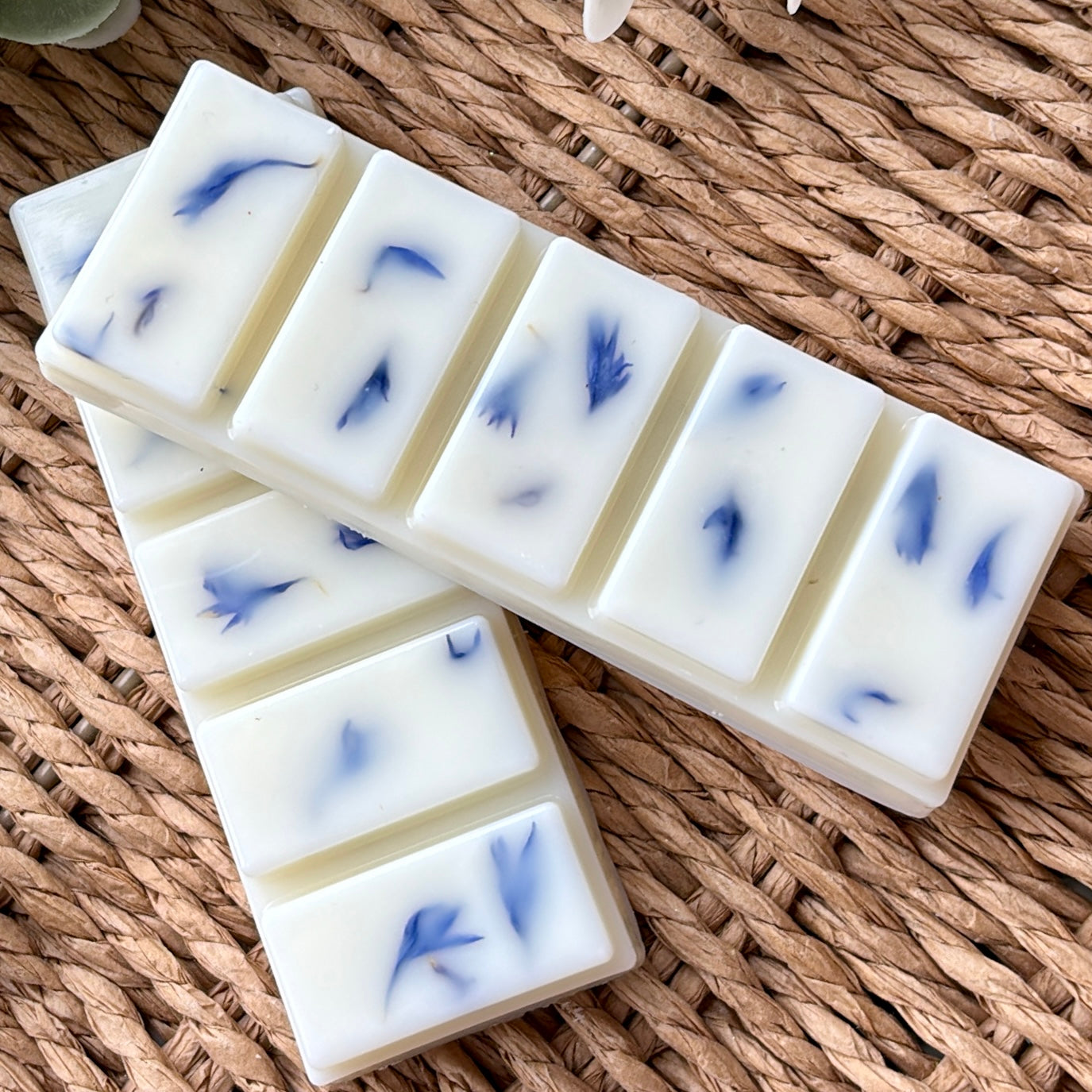 Blueberry & Vanilla Botanical Snap Bar