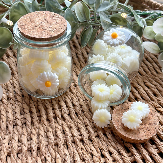 Daisy Jar Wax Melts