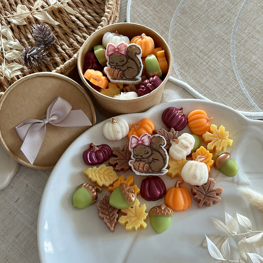 Autumn Themed Wax Melts