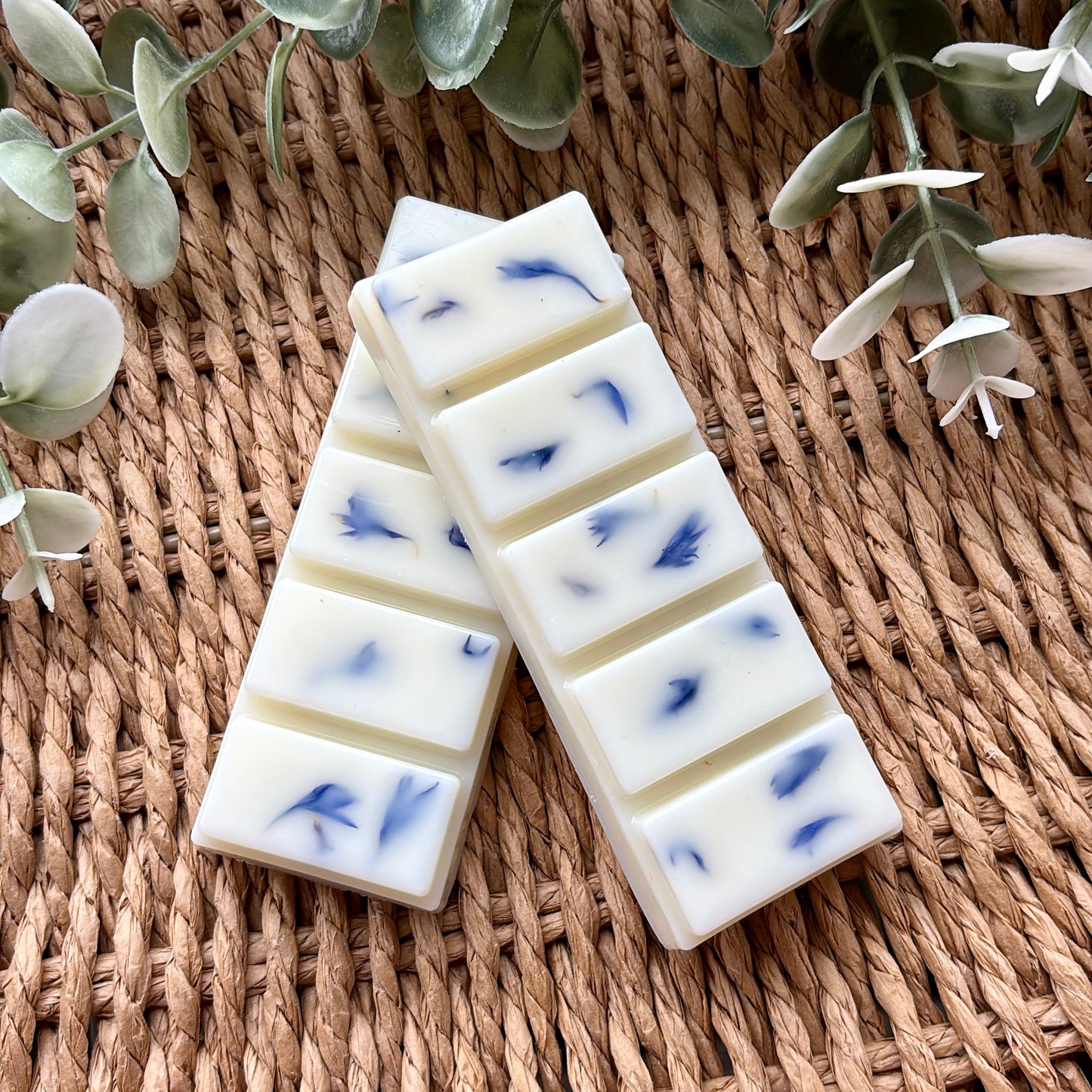 Blueberry & Vanilla Botanical Snap Bar