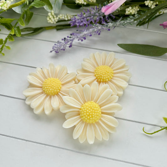 Daisy Wax Melts
